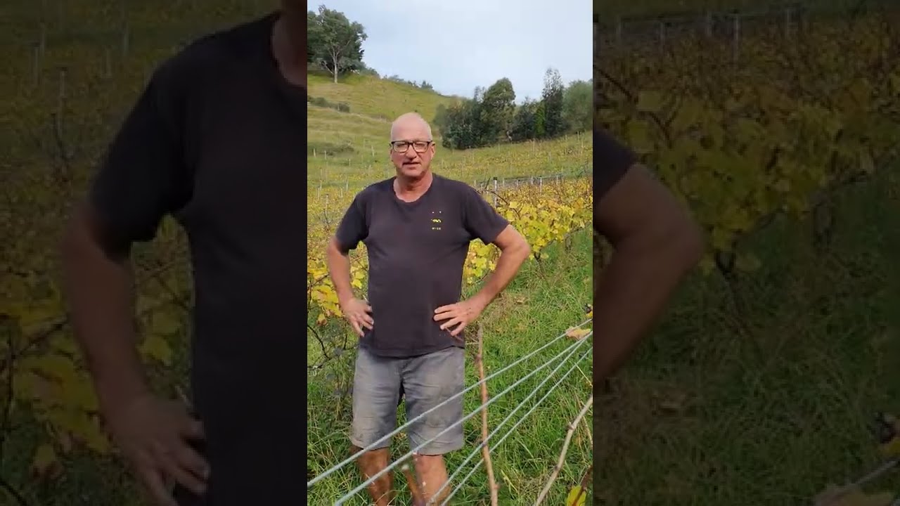 Warren Gibson talks about Bilancia and his La Collina Vineyard