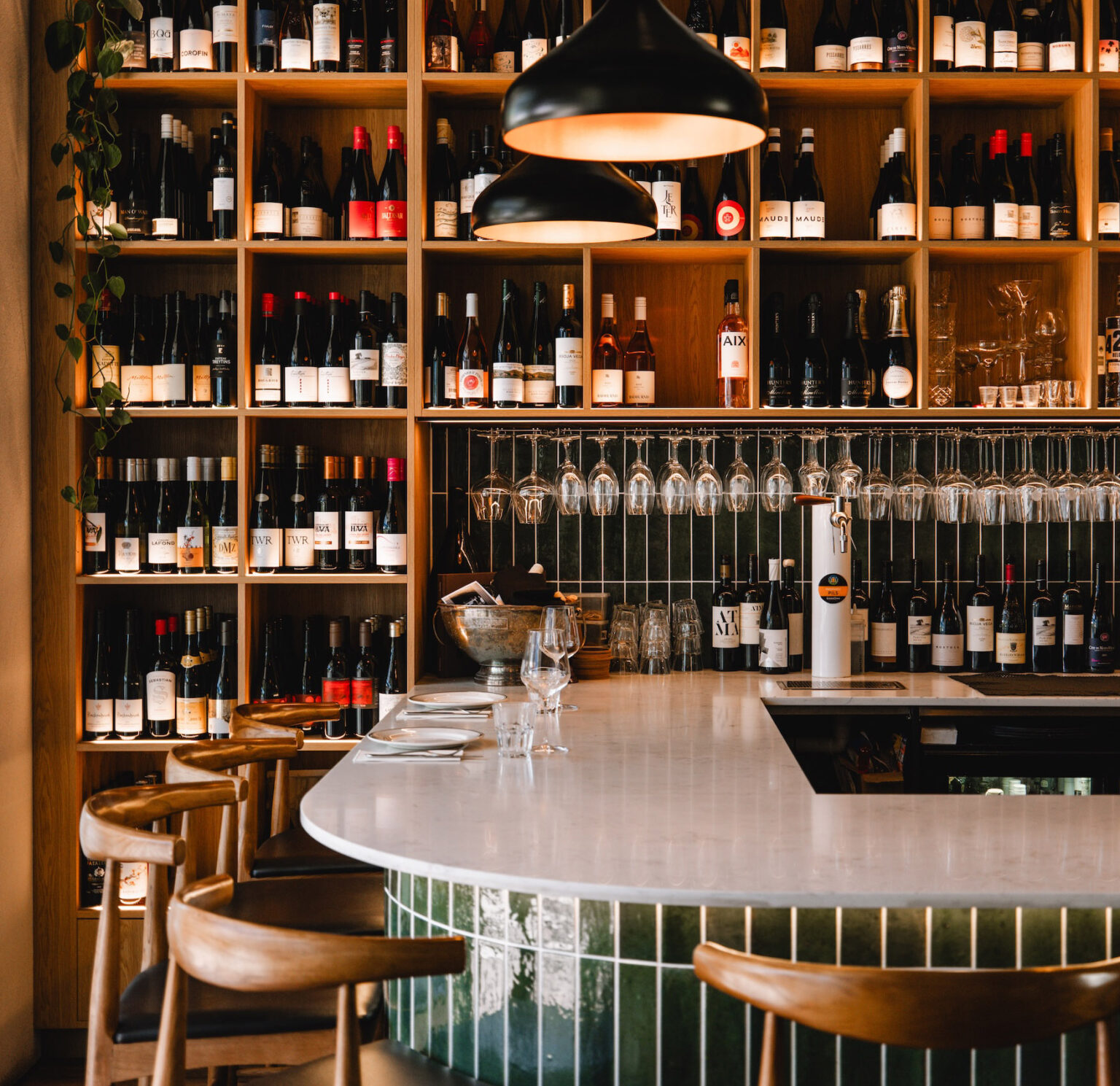 Cellar 495 Wine Bar in Hastings – 495 Wine Select